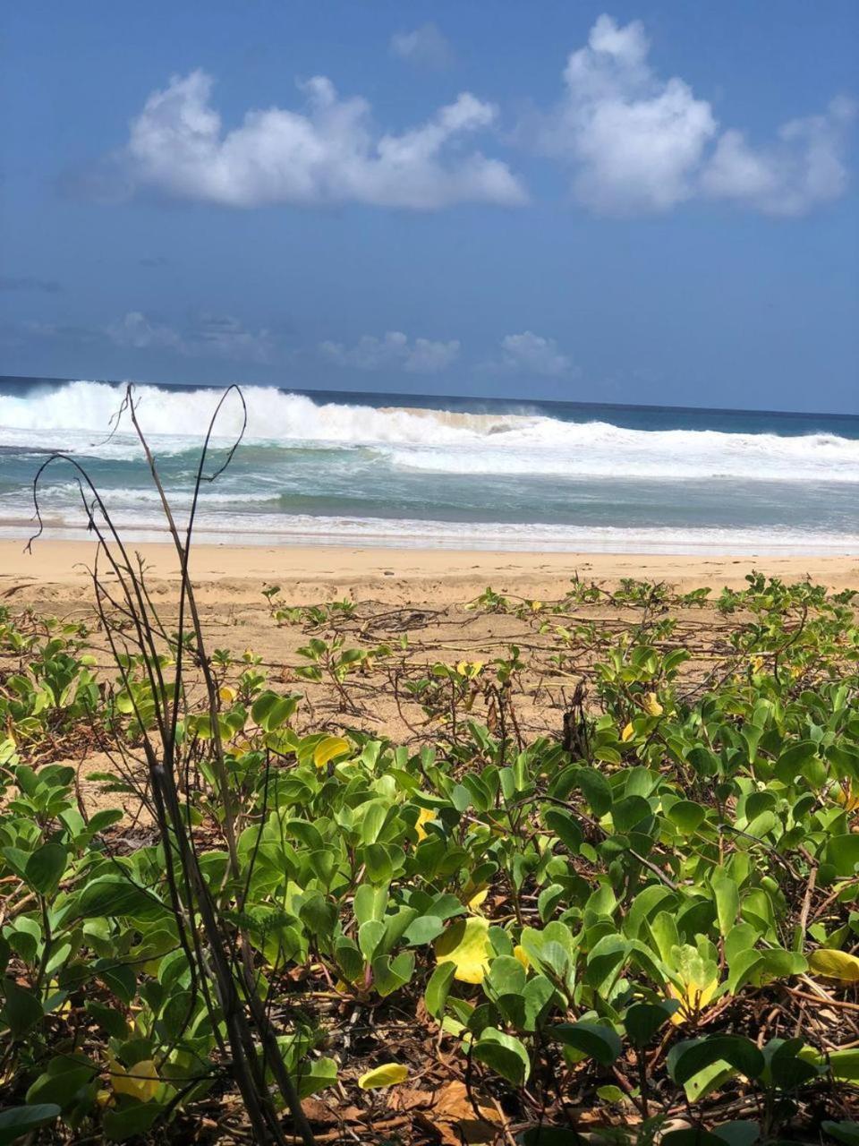 Pousada Boldro Home Fernando de Noronha Exteriör bild