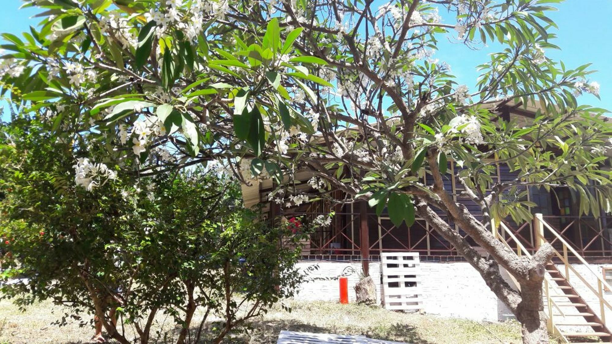 Pousada Boldro Home Fernando de Noronha Exteriör bild